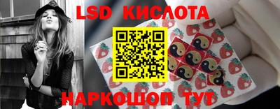 mdma Аргун