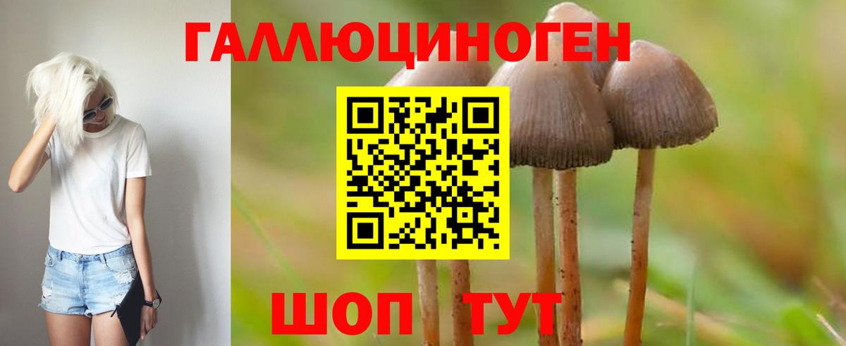Выкса  Галлюциногенные грибы прущие грибы  Вход с VPN 